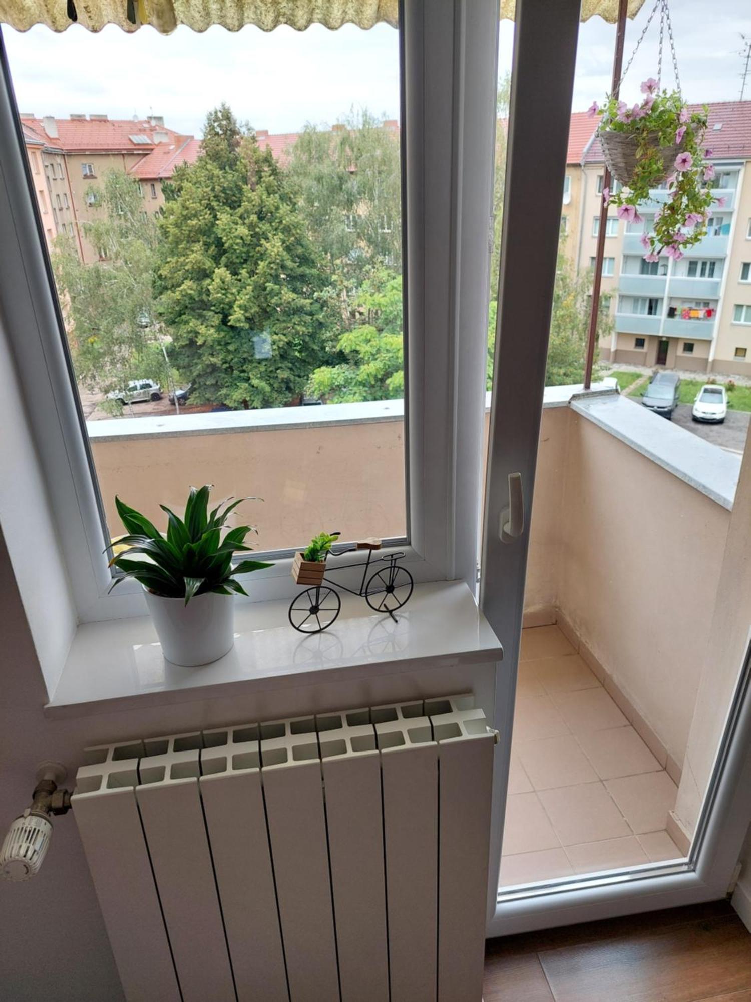 B&B Resslova Hradec Králové Exteriér fotografie